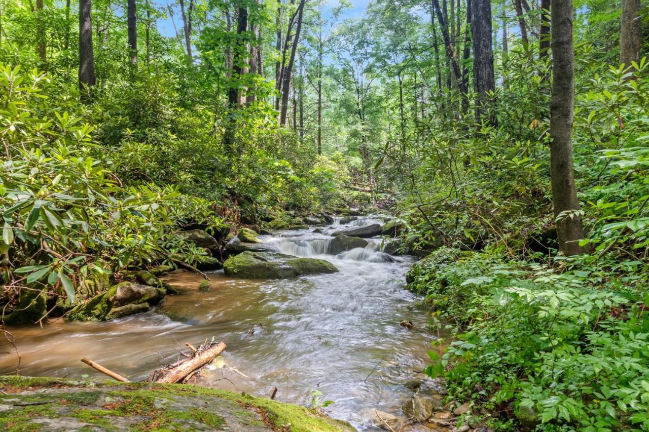 Falling Waters At Rumbling Bald Lake Lure Luaran gambar