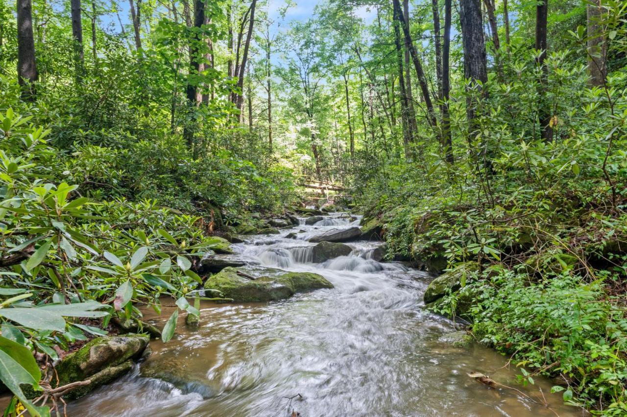 Falling Waters At Rumbling Bald Lake Lure Luaran gambar